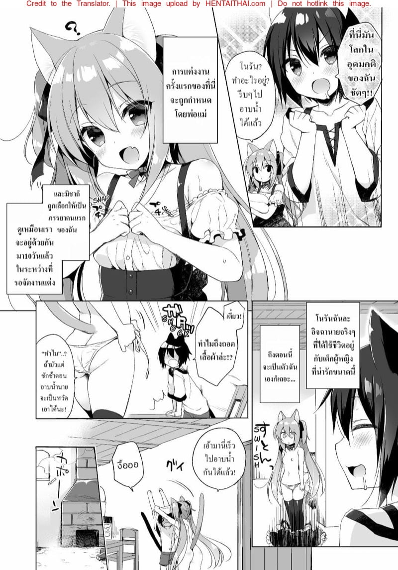 เกิดใหม่ ณ โลกของสาวหูสัตว์ 6