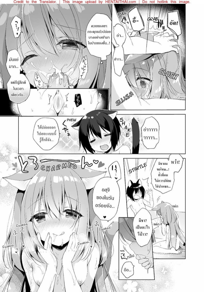 เกิดใหม่ ณ โลกของสาวหูสัตว์ 11