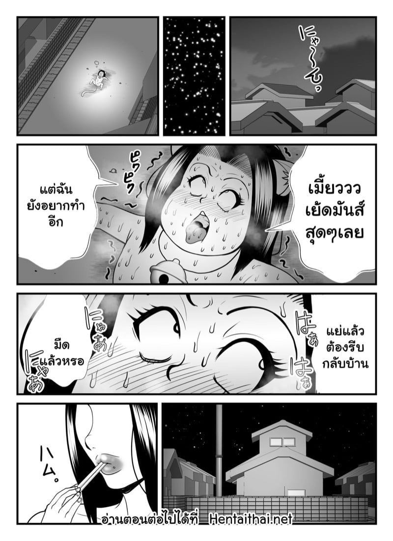 แม่บ้านเป็นแมว 34