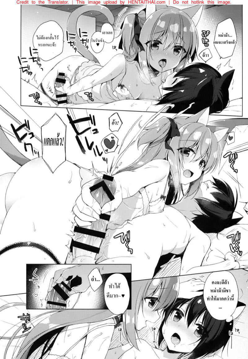เกิดใหม่ ณ โลกของสาวหูสัตว์ 3 11