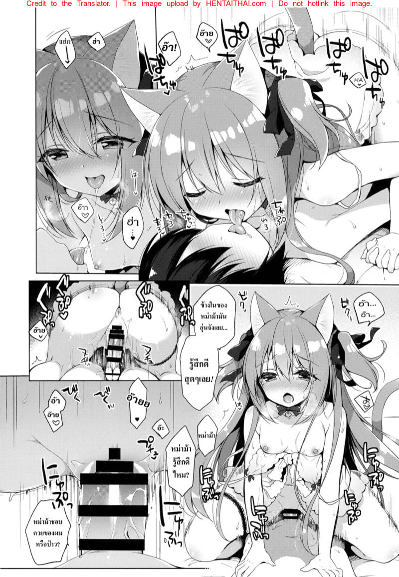 เกิดใหม่ ณ โลกของสาวหูสัตว์ 3 13