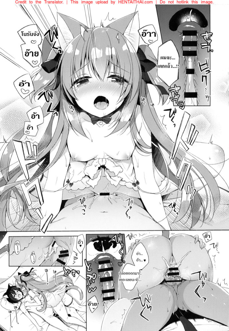 เกิดใหม่ ณ โลกของสาวหูสัตว์ 3 16